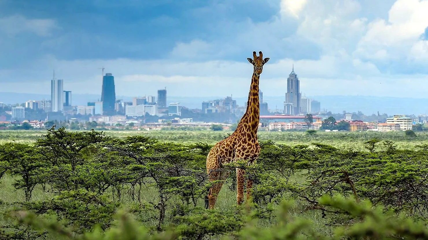 Nonstop Business Class from Paris to Kenya on Air France for €1,801 Round Trip