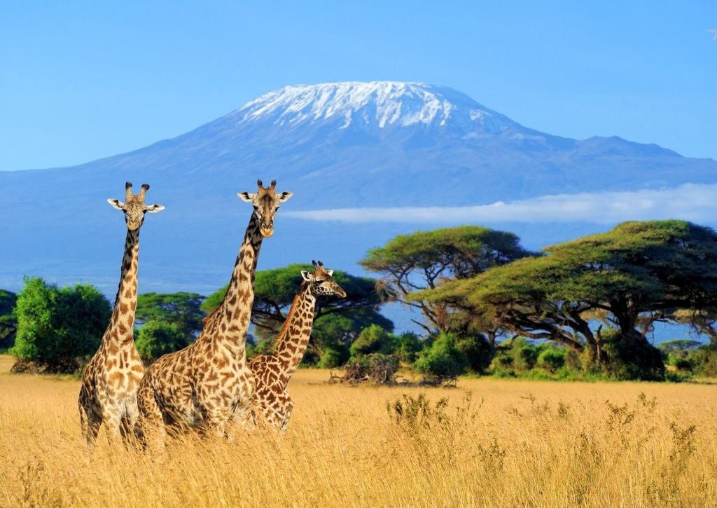 Business Class from Paris to Tanzania for €1,802 Round Trip on Air France/KLM