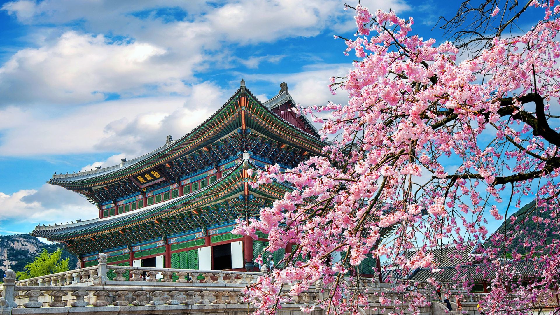 Business Class Suite from London to South Korea for £1,567 Round Trip on Air France