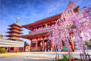 Business Class from London to Tokyo Business Class from London to Tokyo