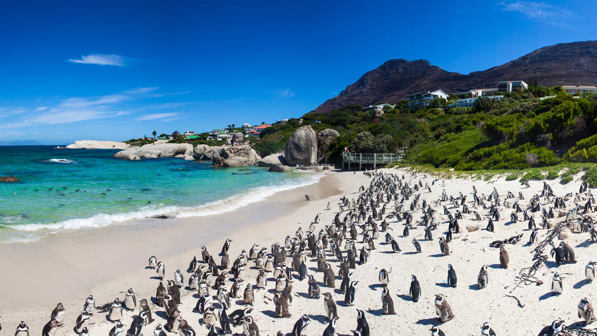 Business Class from Amsterdam to Cape Town for €1,769 Round Trip