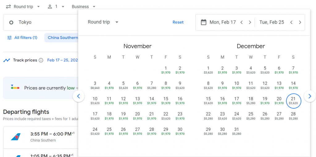 Business Class from Tokyo to Amsterdam