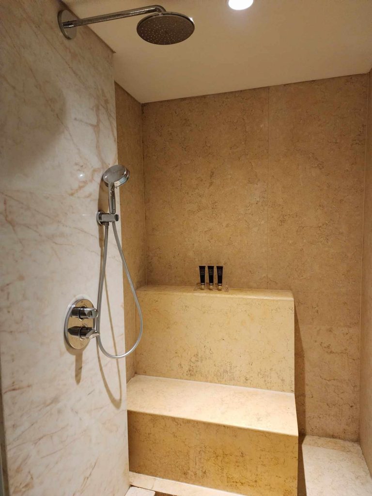 Executive Suite - shower