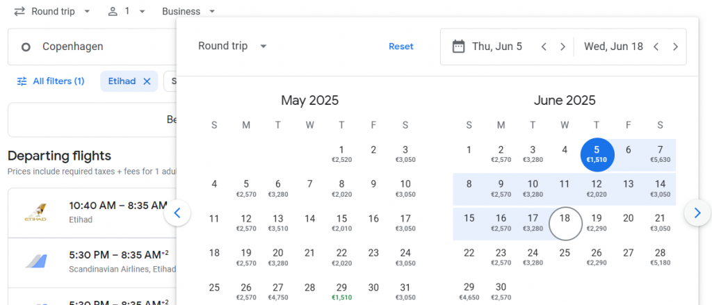 Business Class from Denmark to South Africa