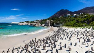 Business Class from Thailand to Cape Town Business Class from Thailand to Cape Town