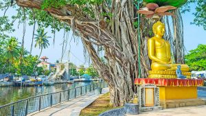 Business Class from Romania to Sri Lanka