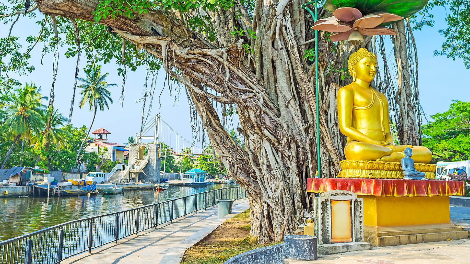 Business Class from Romania to Sri Lanka