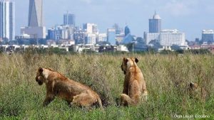 Business Class from Sweden to Kenya Business Class from Sweden to Kenya