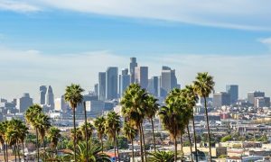 Business Class from Dublin to Los Angeles