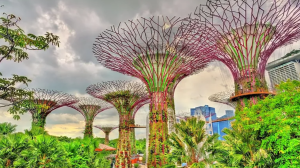 Business Class from London to Singapore